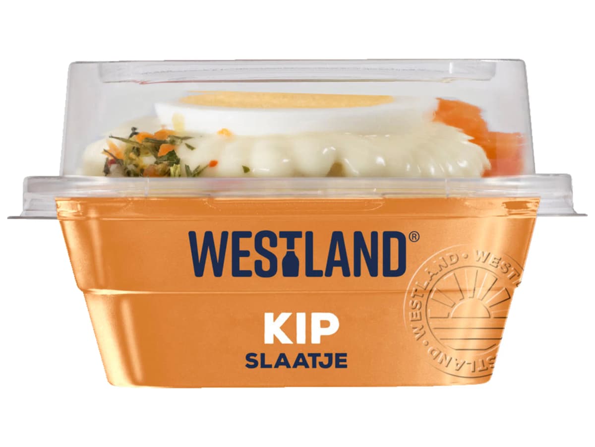 Kipslaatje
