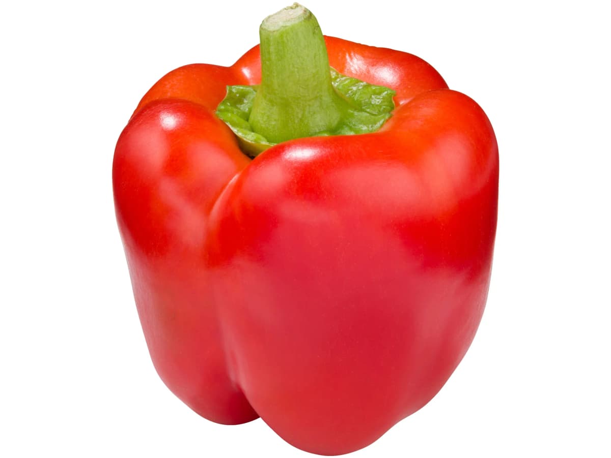 Rode paprika