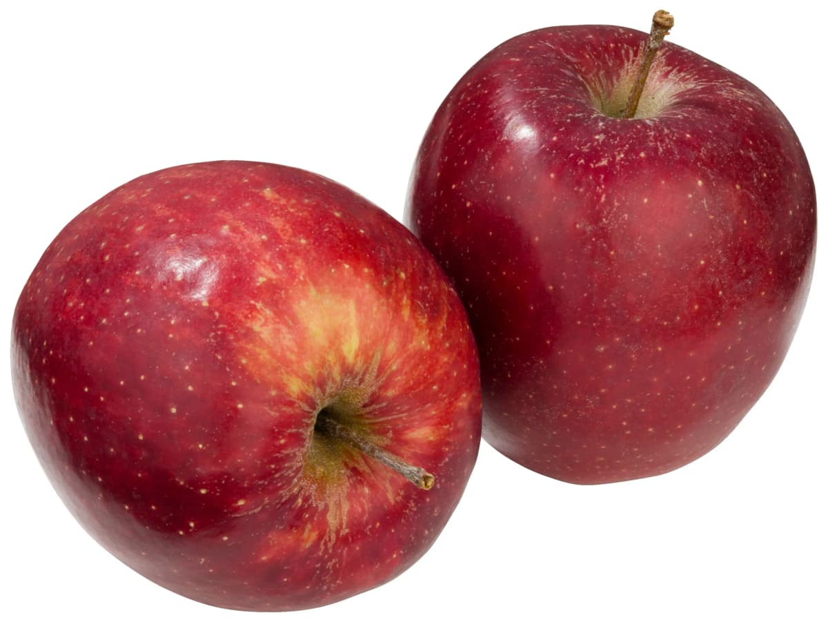 Jonagold appel Jonagold appel