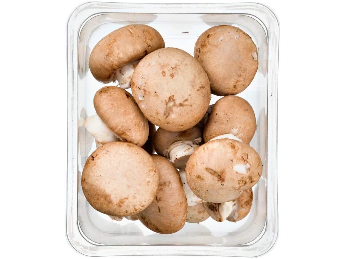 Kastanjechampignons