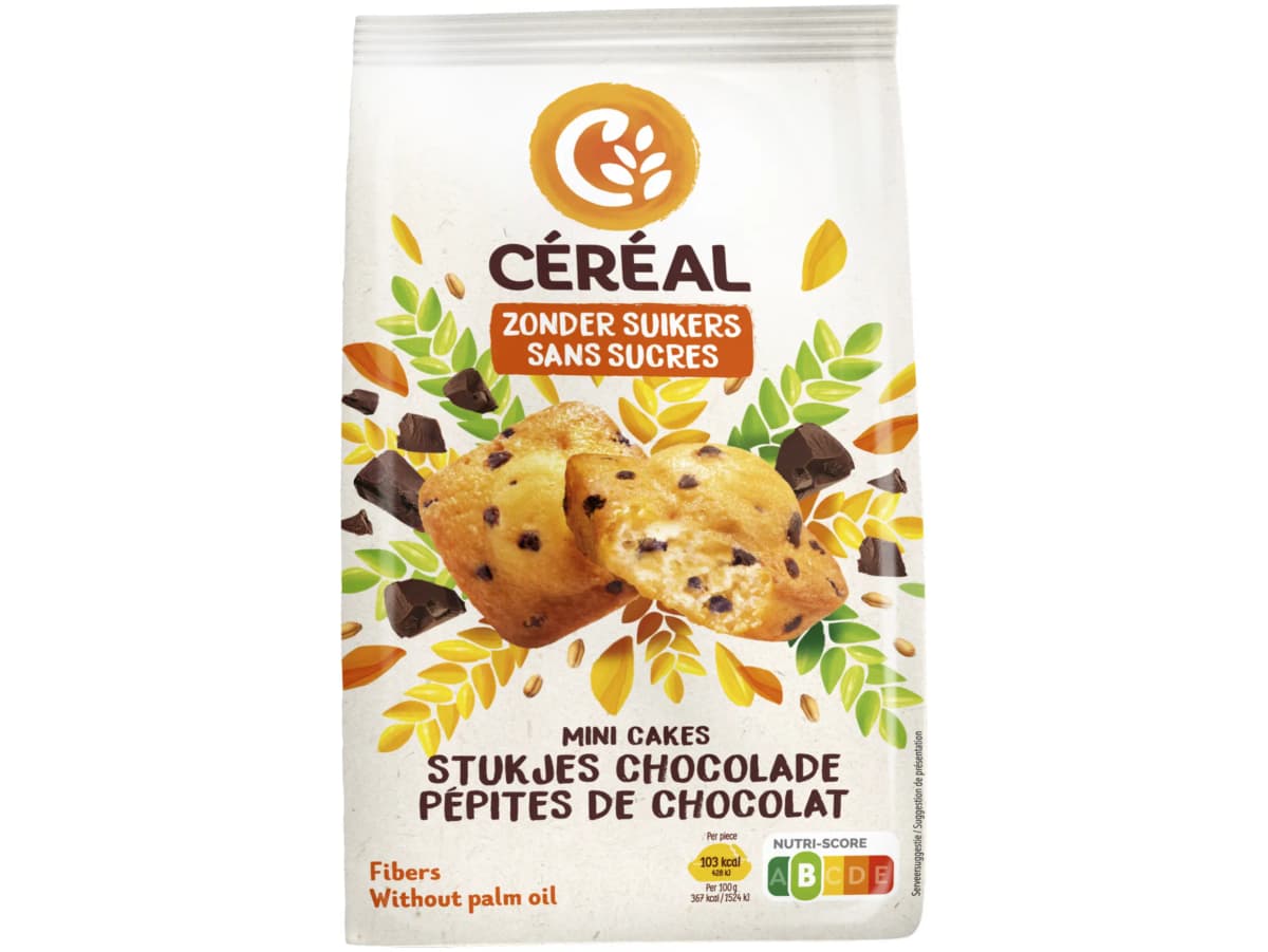 Mini cake met stukjes chocolade