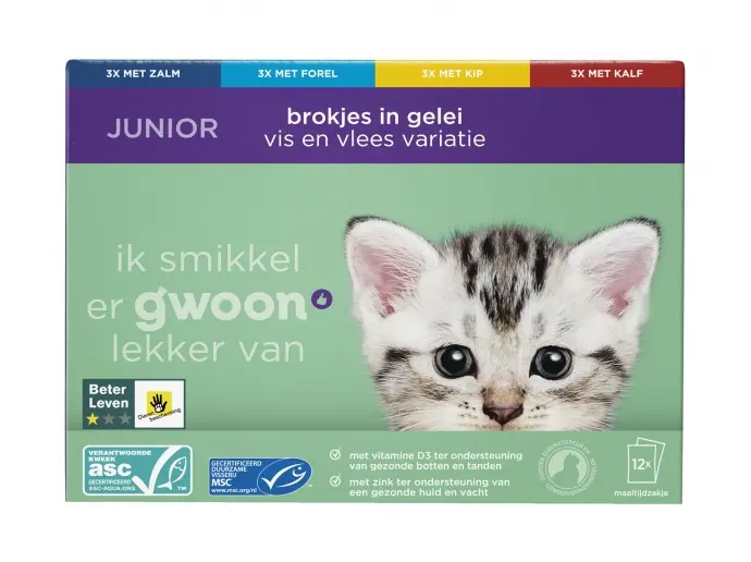 Junior kattenbrokjes in gelei