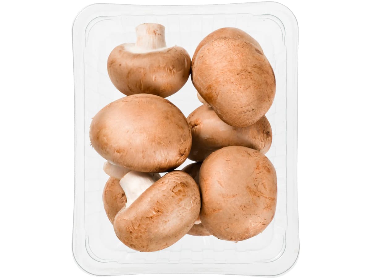 Kastanje Champignons Kastanje Champignons