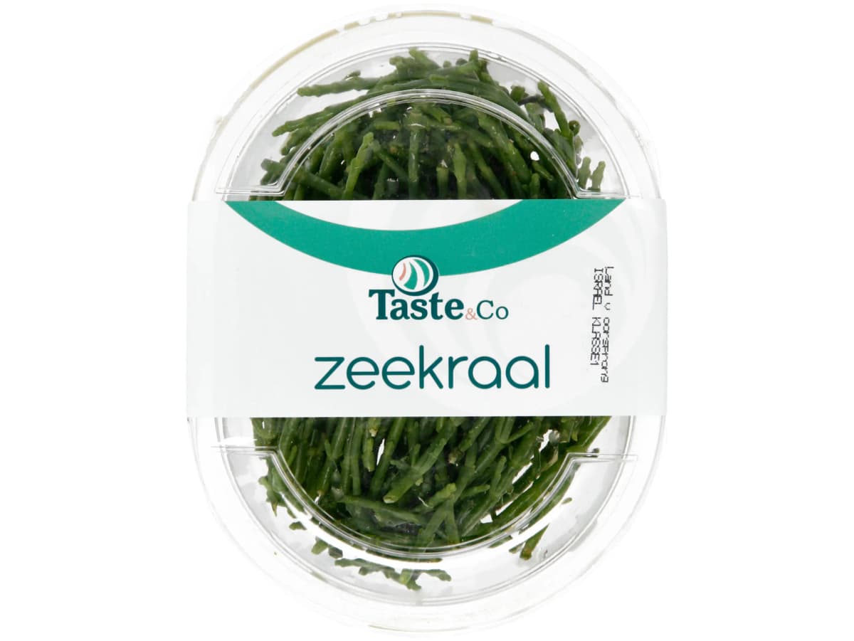 Zeekraal