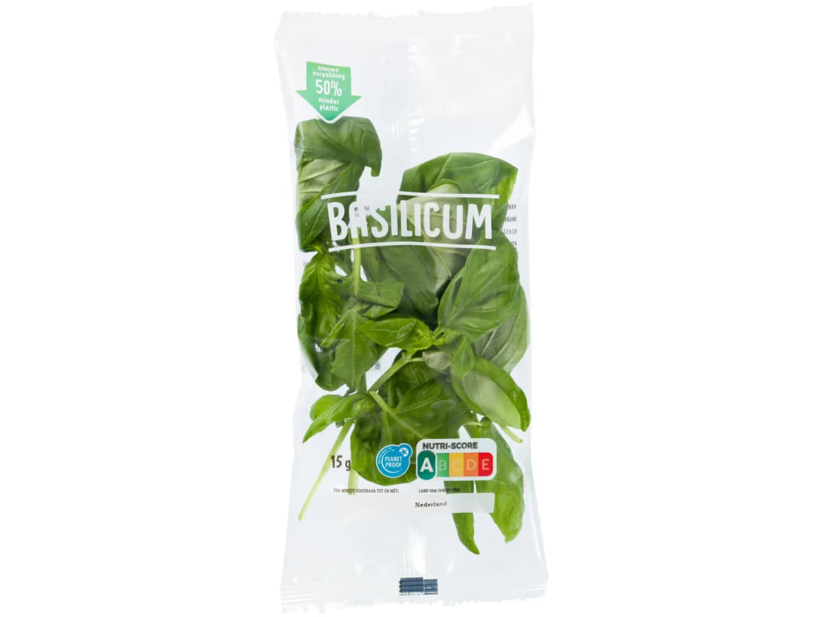 Verse basilicum